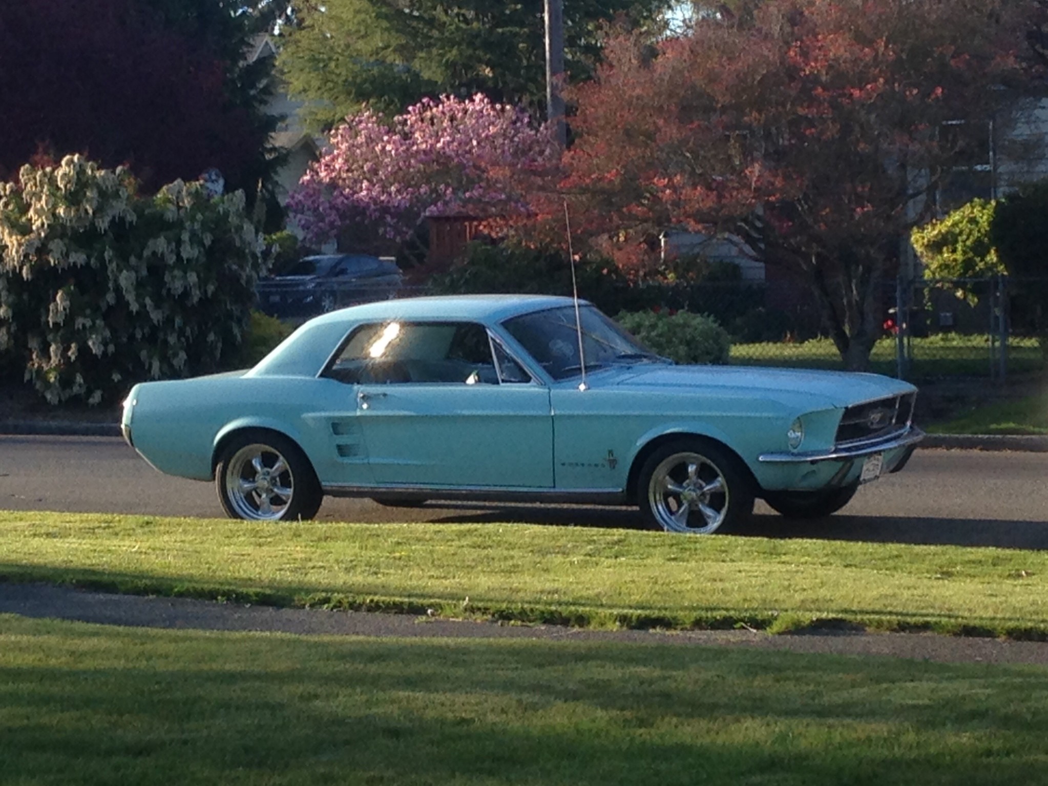 Frost Turquoise 1967 Ford Mustang