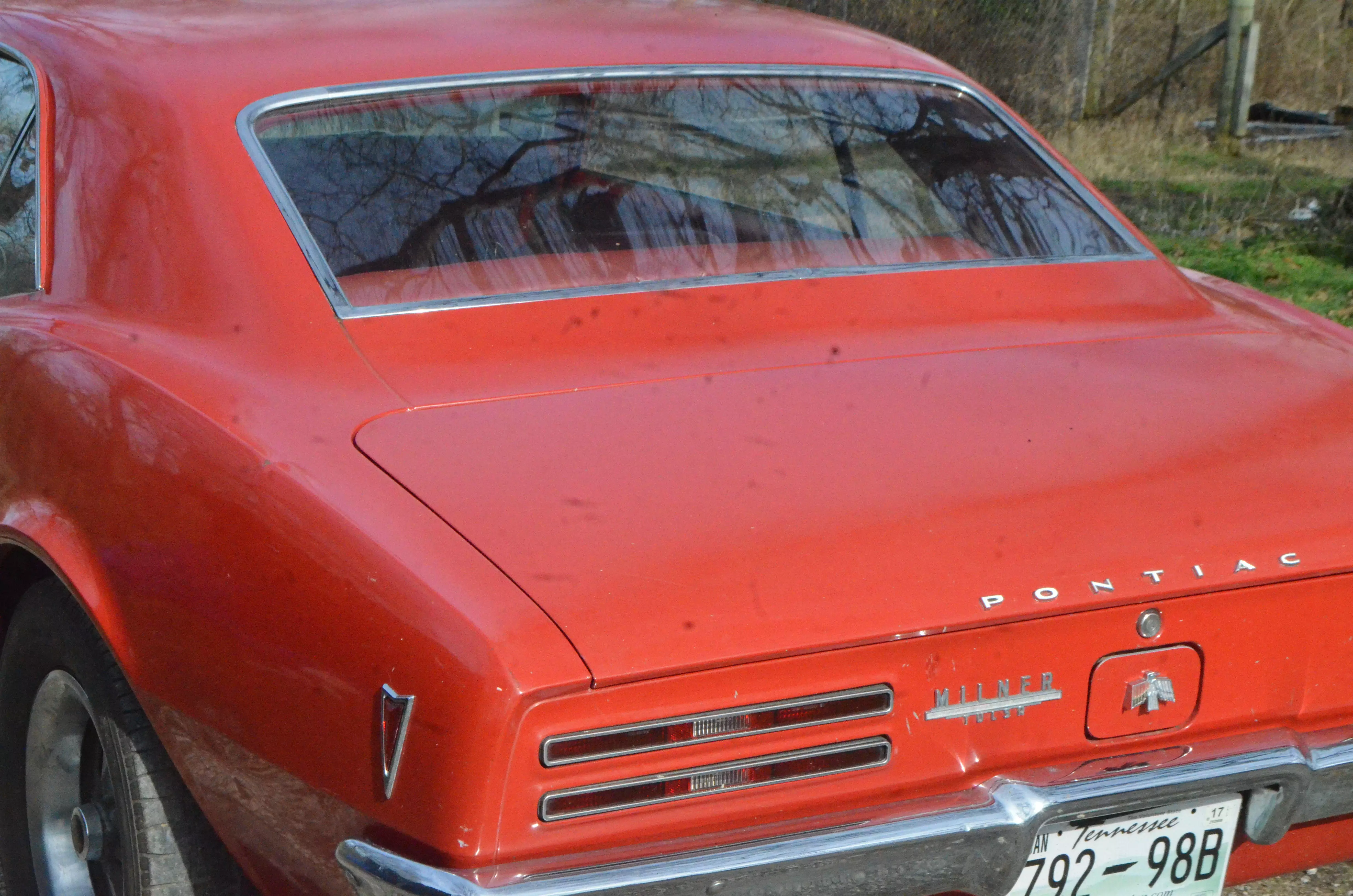 Pontiac Firebird Jolene