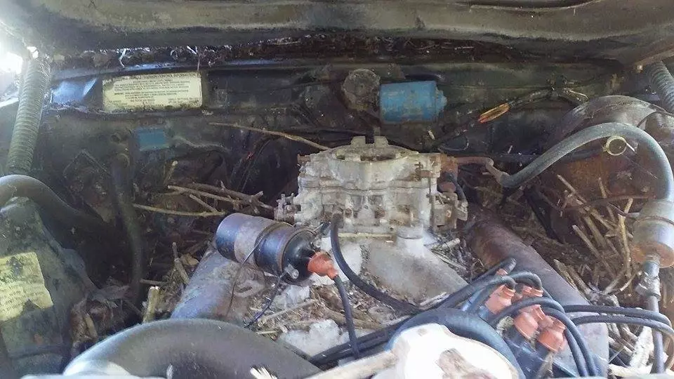 AMC Javelin AMX edition Engine