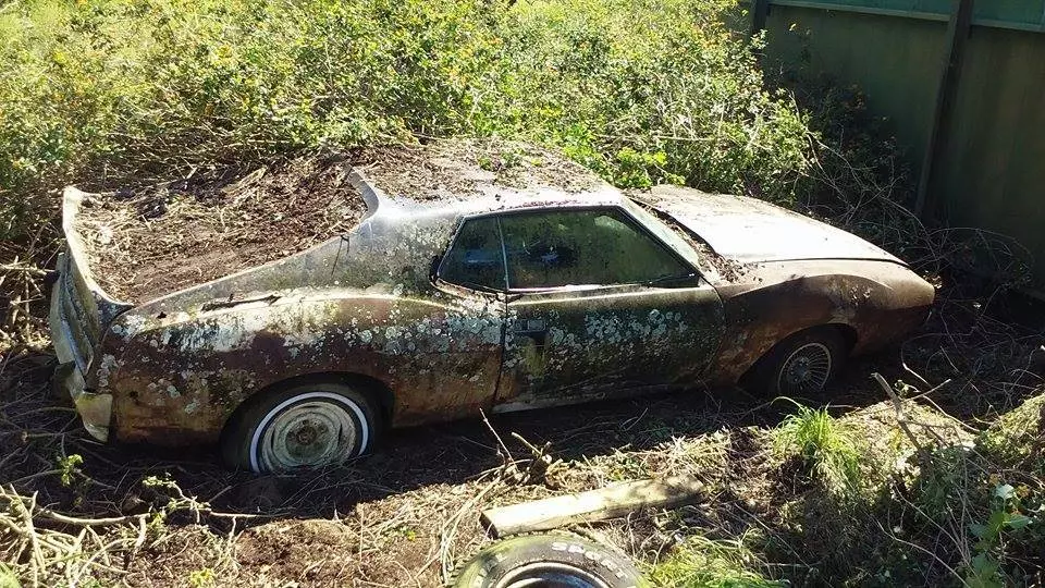 AMC Javelin AMX edition Barn Find