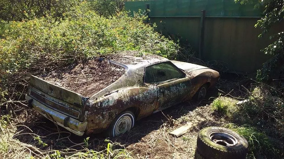 Barn Find 1972 AMC AMX
